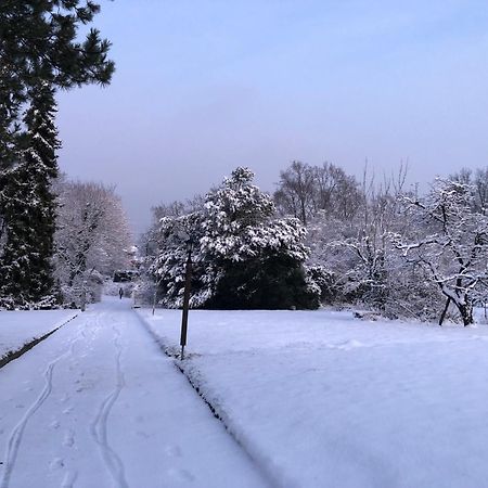 Ueber Den Daechern Von Koblenz - Aussichts-Wohnung Naturpark Rheinblick, Ruhig, Zentrumsnah, Sport-Pool Eksteriør bilde