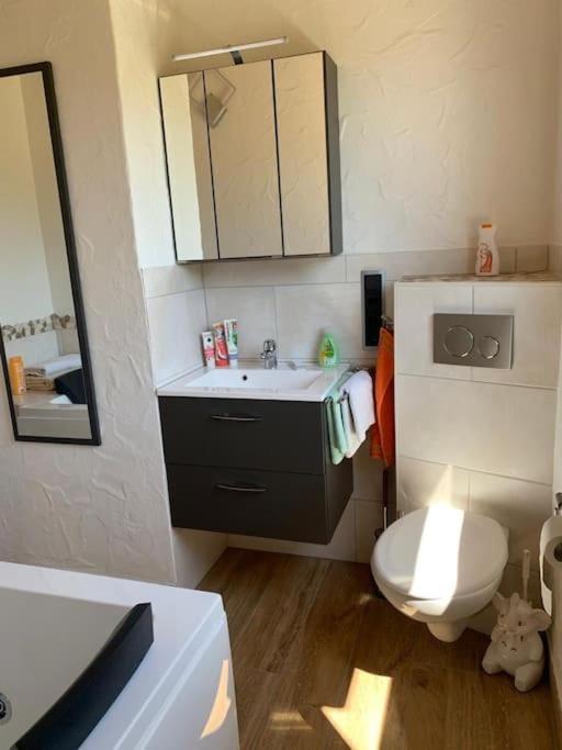 Ueber Den Daechern Von Koblenz - Aussichts-Wohnung Naturpark Rheinblick, Ruhig, Zentrumsnah, Sport-Pool Eksteriør bilde