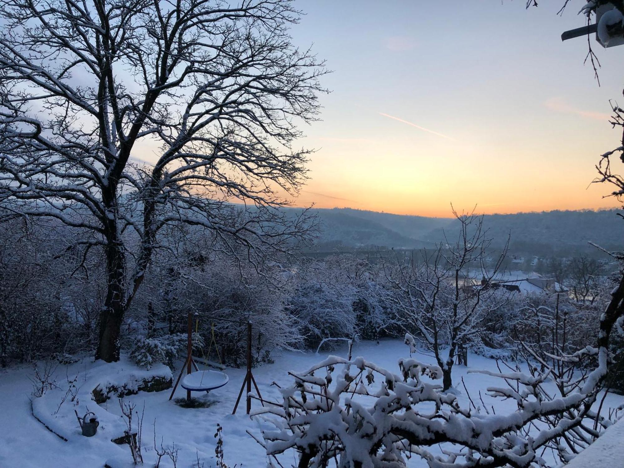 Ueber Den Daechern Von Koblenz - Aussichts-Wohnung Naturpark Rheinblick, Ruhig, Zentrumsnah, Sport-Pool Eksteriør bilde